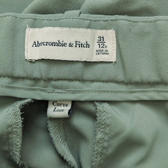ABERCROMBIE & FITCH Curve Love Sloane Tailored Wide Leg Pant 31 12S Green Pleate - Picture 6 of 10